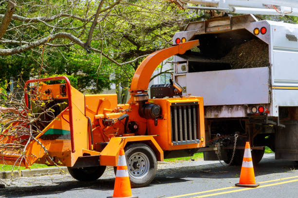 Best Affordable Tree Service  in Etna, PA